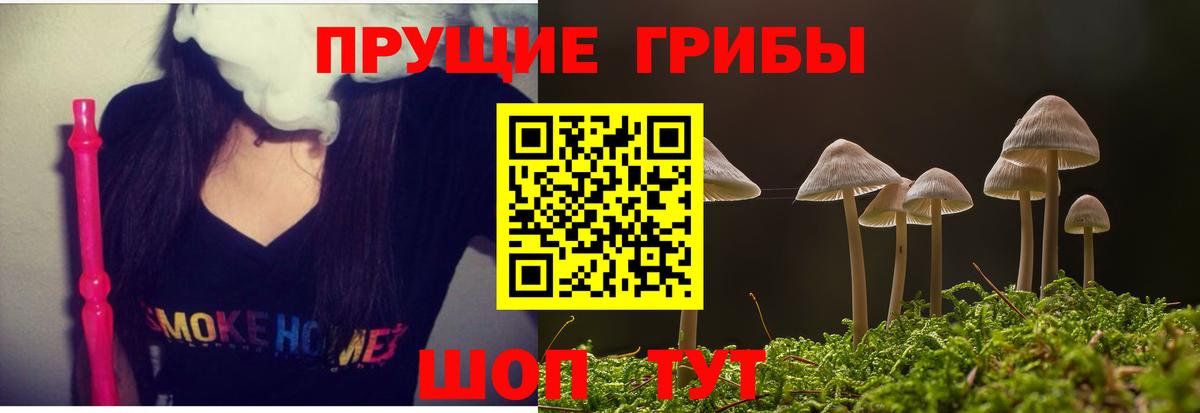 Магнитогорск  наркота  Галлюциногенные грибы прущие грибы  Вход с VPN  Псилоцибиновые грибы MAGIC MUSHROOMS 